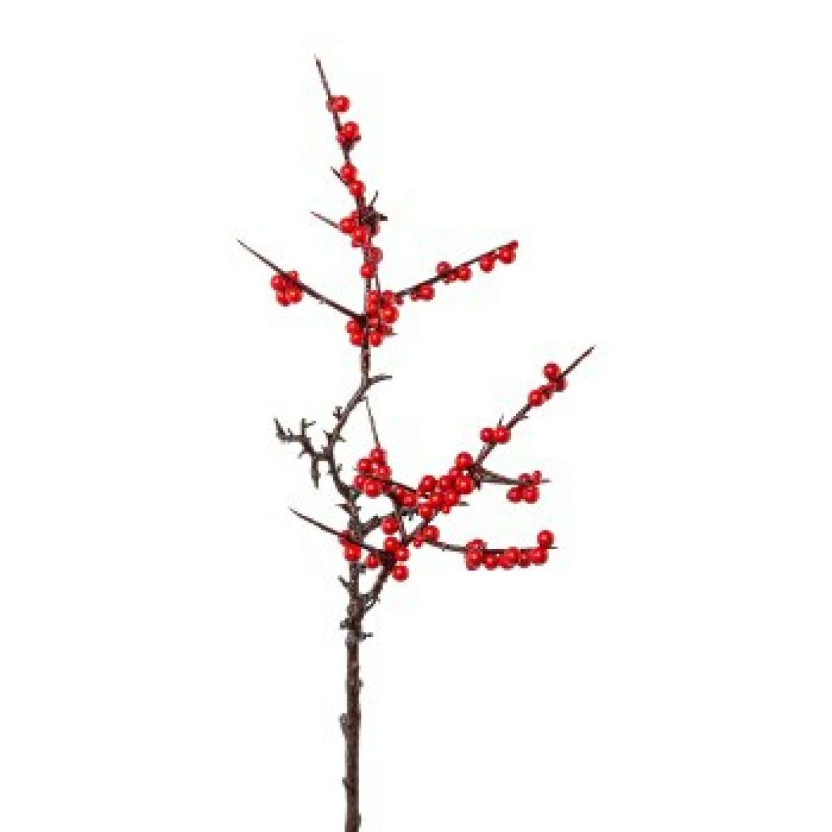 Immagine del prodotto Ramo di Agrifoglio 53 cm Rosso | Gasper since 1965