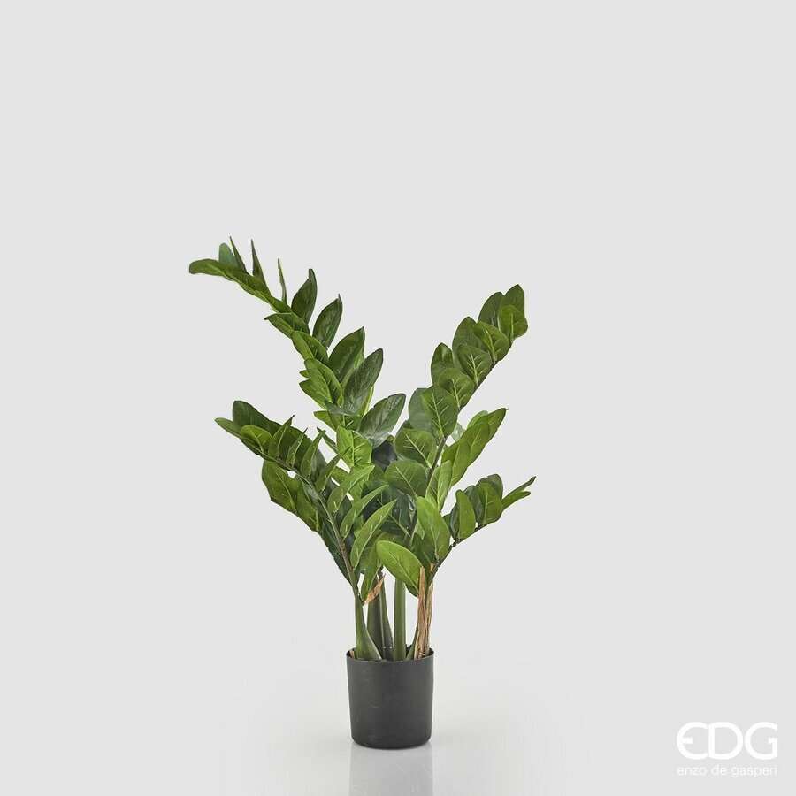 Immagine principale di Zamifolia Artificiale con Vaso - 3 Misure | EDG Enzo De Gasperi