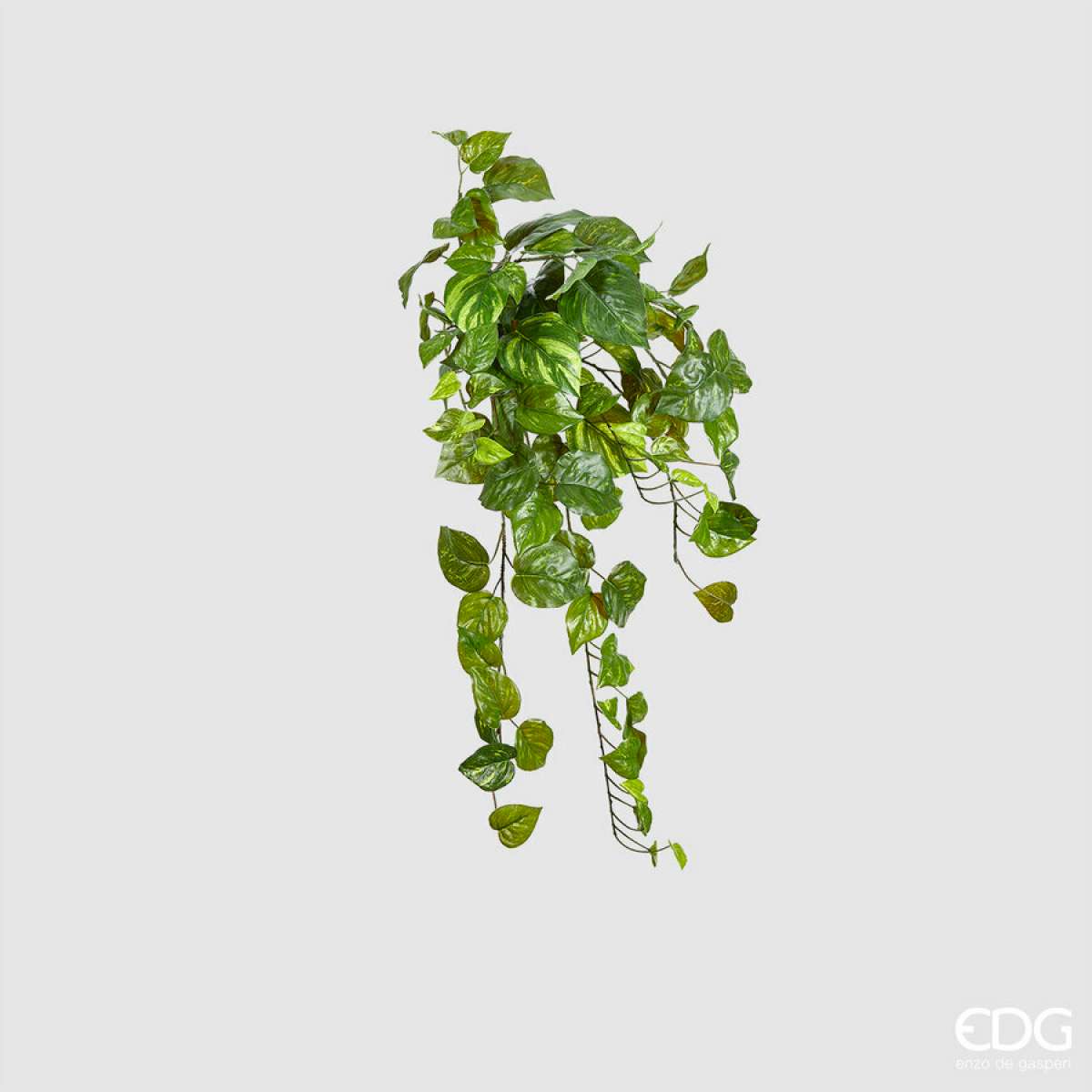 Immagine del prodotto Syngonium Bell Artificiale Cadente h 58cm | EDG Enzo De Gasperi