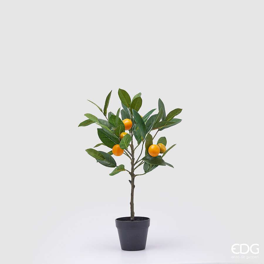 Immagine principale di Mandarino Artificiale con Vaso - 3 Misure | EDG Enzo De Gasperi