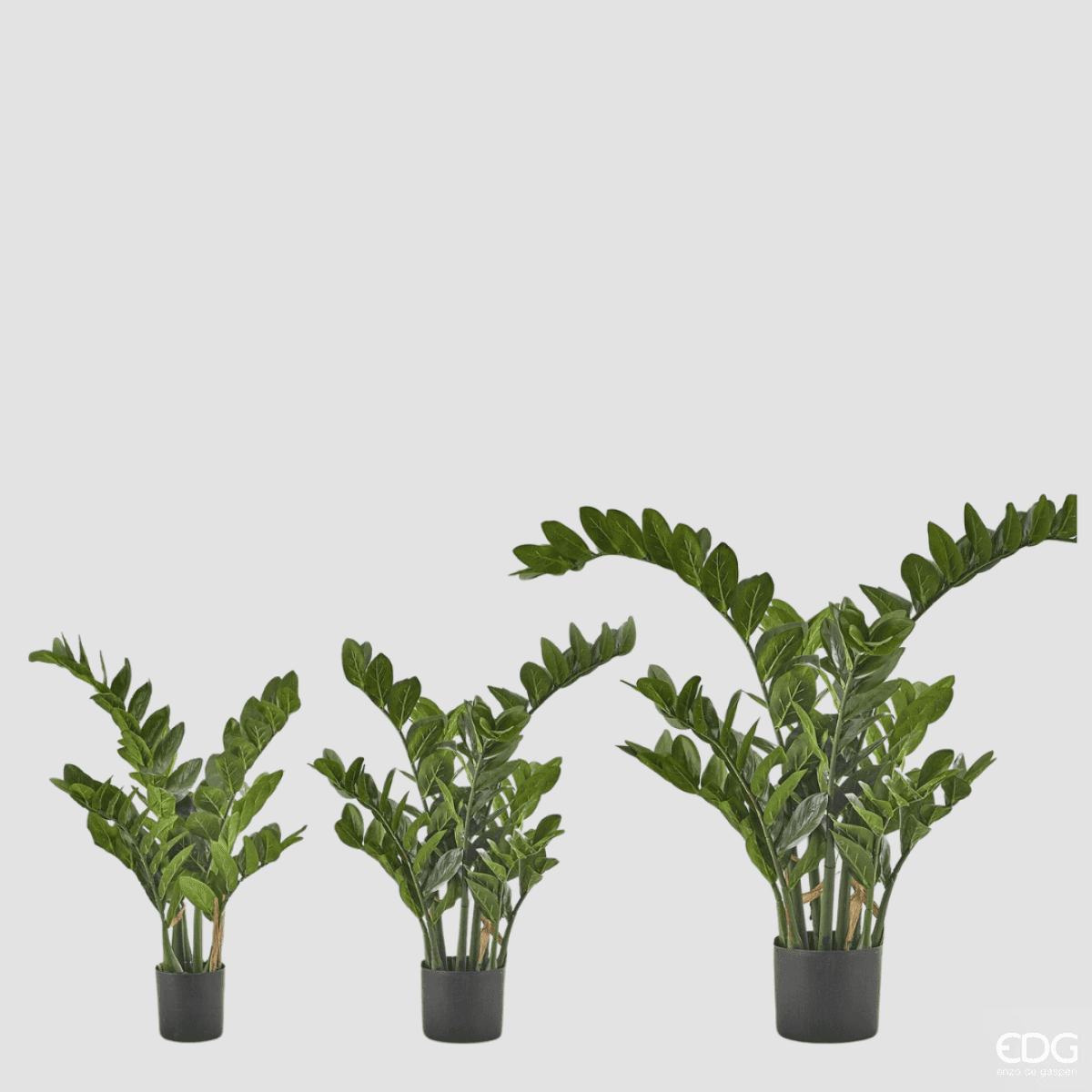 Immagine del prodotto Zamifolia Artificiale con Vaso - 3 Misure | EDG Enzo De Gasperi