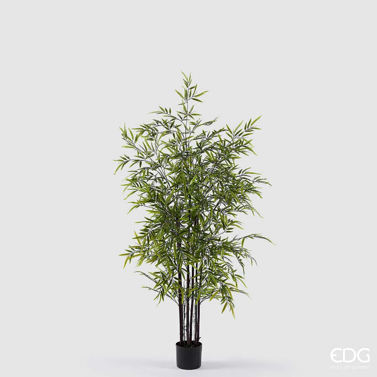 Immagine del prodotto Bamboo con Vaso h 150 cm | EDG Enzo De Gasperi