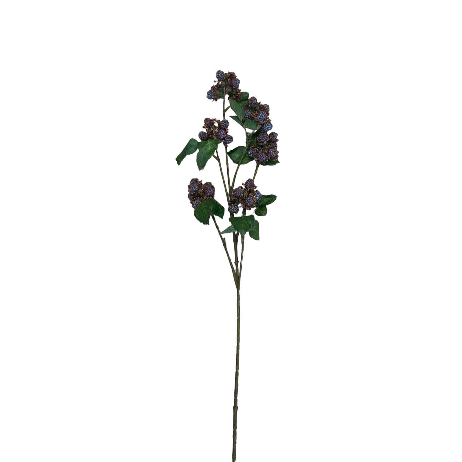Immagine principale di Mora Glory Ramo h 80cm - 3 Colori | EDG Enzo De Gasperi