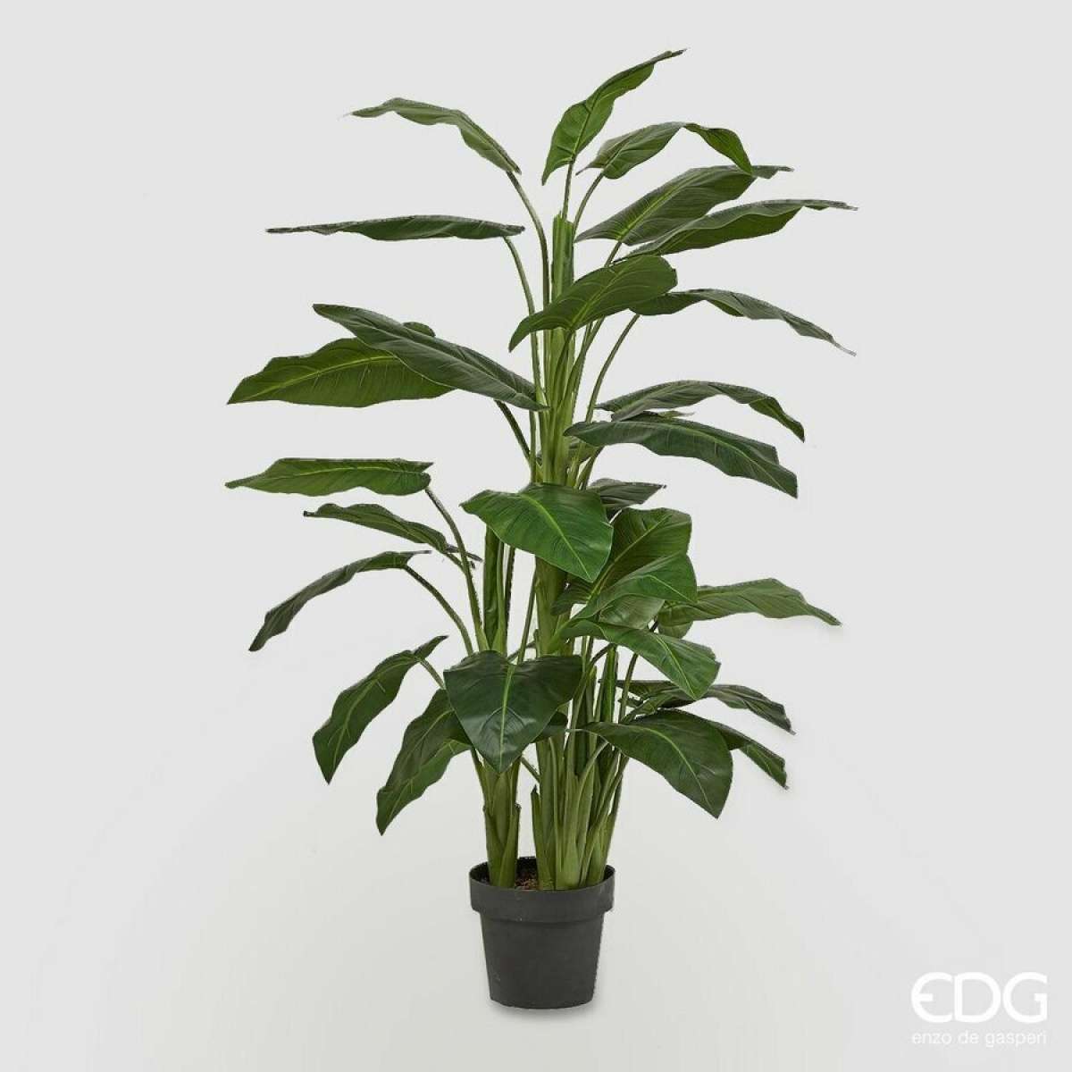 Immagine del prodotto Calla Pianta con Vaso h 145 Cm | EDG Enzo De Gasperi