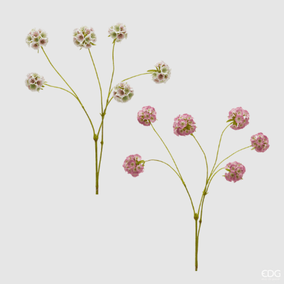 Immagine del prodotto Scabiosa Ramo Artificiale  x6 h 66 cm - 2 Colori | EDG Enzo De Gasperi