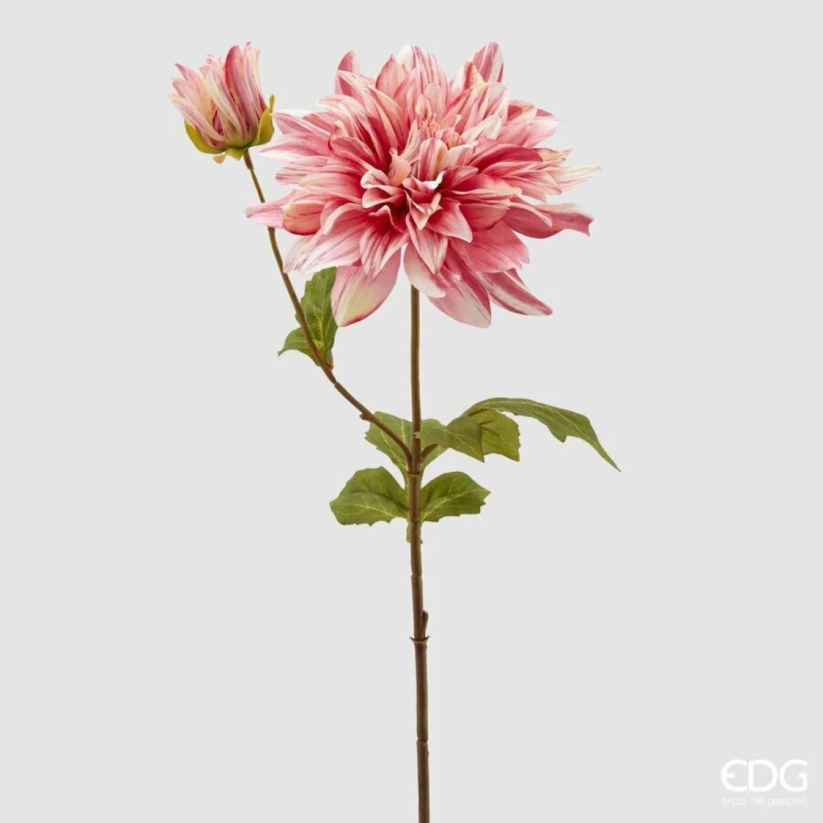 Immagine variante B - Dalia Rex New h 70cm - 3 Colori | EDG Enzo De Gasperi