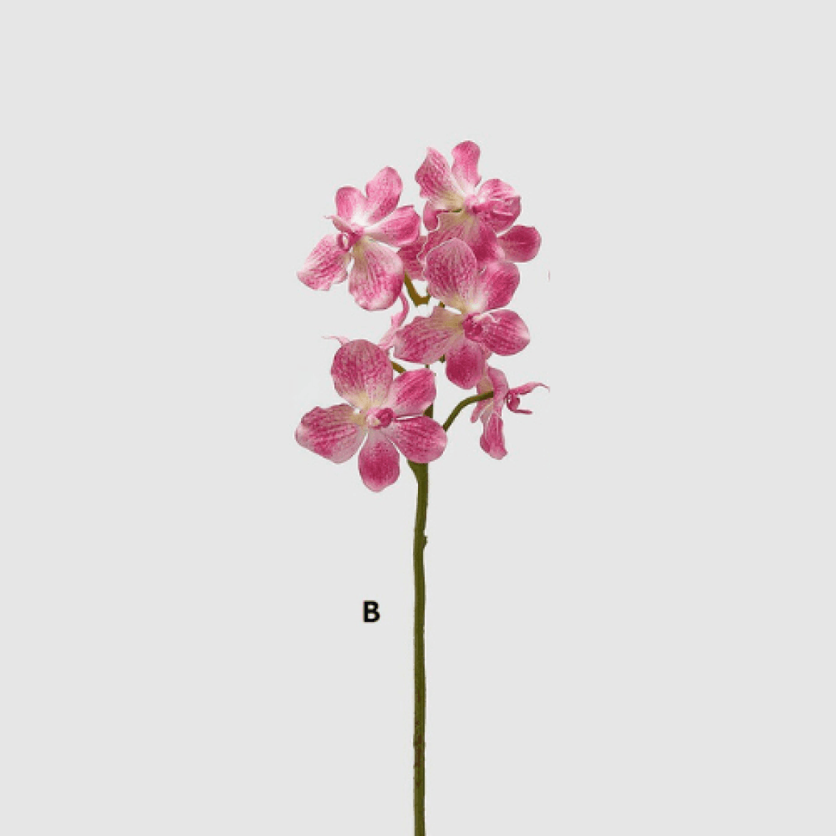 Immagine del prodotto Ramo Orchidea Vanda artificiale h 70 cm- 3 Colori | EDG Enzo De Gasperi