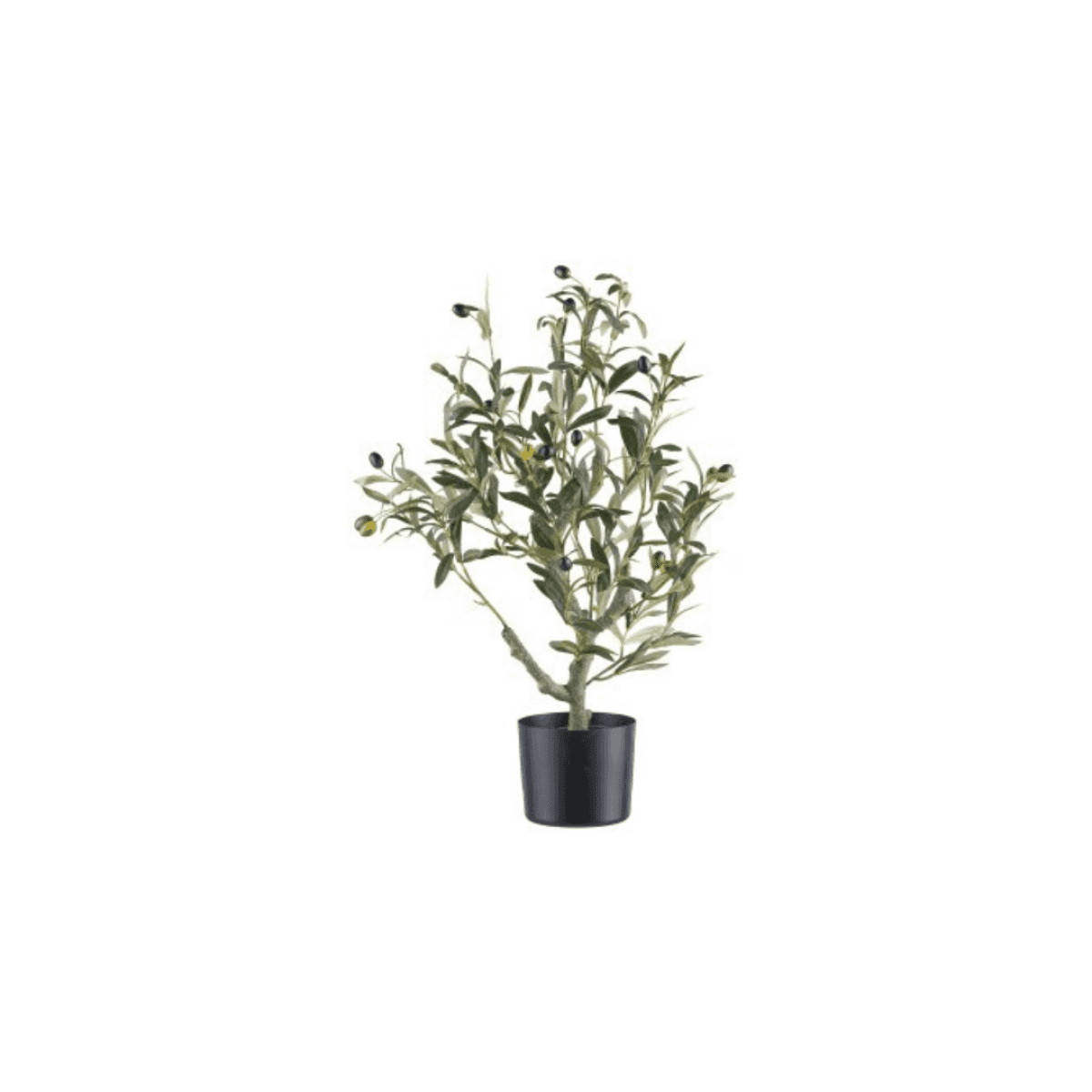 Immagine del prodotto Olivo Artificiale 70 cm con Vaso in Plastica 15x13cm | Gasper since 1965