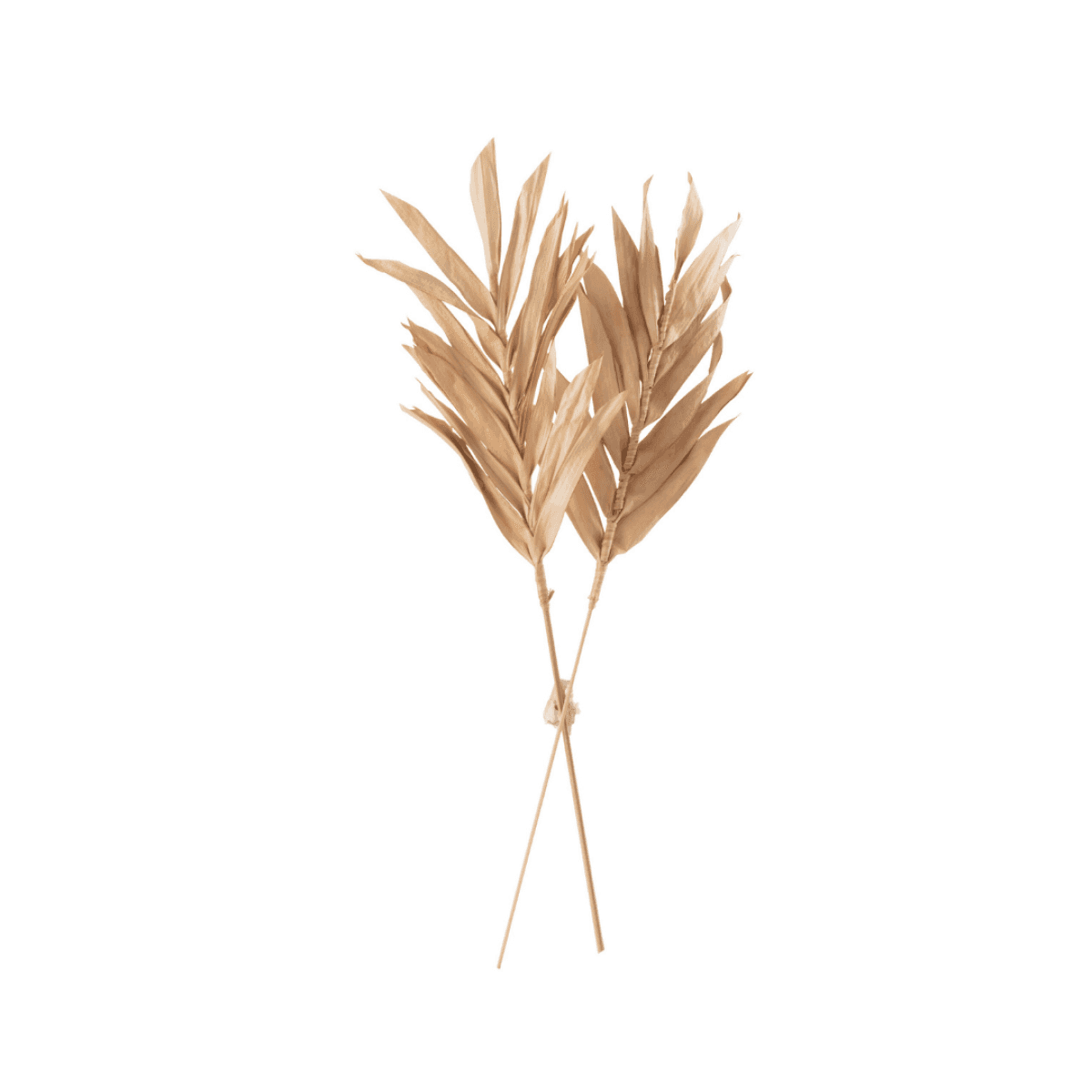 Immagine del prodotto Set 2 Foglie Secche Naturali 11,5x2,5x41 cm | Jolipa