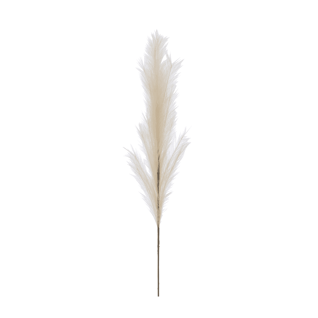 Immagine principale di Ramo Piume Beige 20x6x160 cm | Jolipa