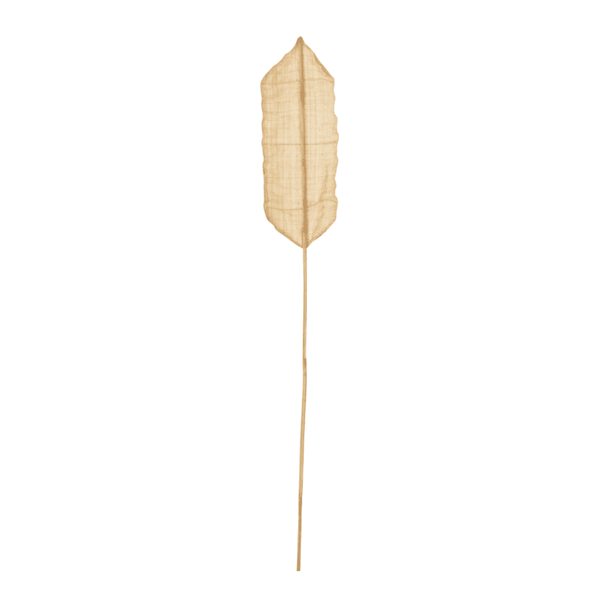 Immagine del prodotto Foglia Decorativa Palma Naturale 20x5x200 cm | Jolipa